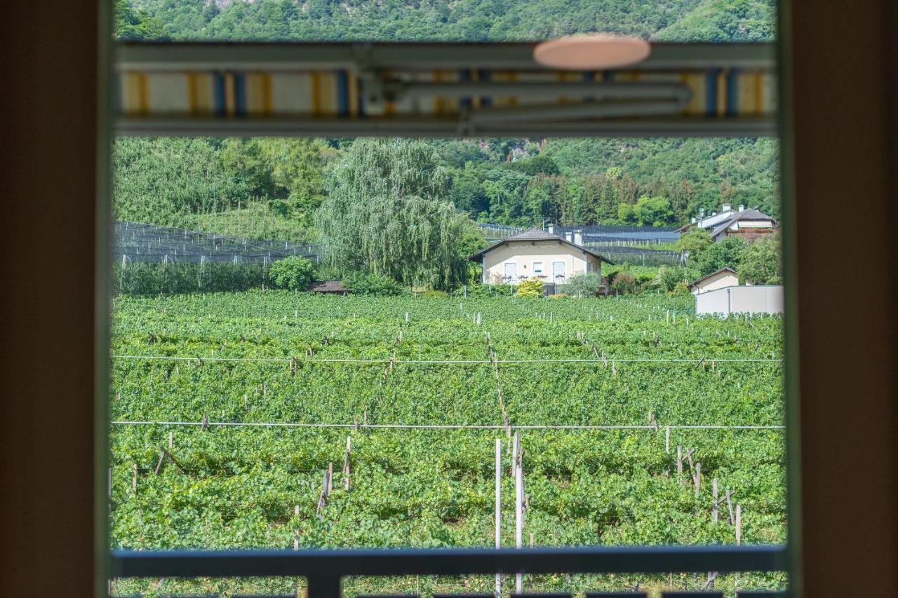 アッピアーノ・スッラ・ストラーダ・デル・ヴィーノ Haus Stolz Bed & Breakfast エクステリア 写真